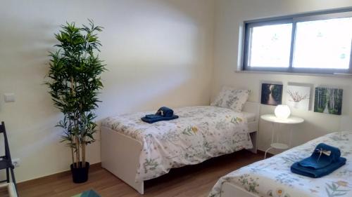 Albufeira Apartment | Albufeira Prime Apartment