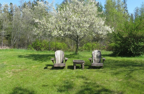Bernard Apartment | Aldernest Loft - Acadia Park/Mount Desert Island -walk across lawn down to shore