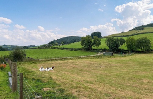 Newbridge Cottage | Alderneuk Lodge - UK49923