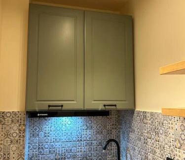 Craiova Apartment | AleA Central Studio Art Museum