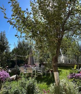 Rasnov House | Aleeas CASA