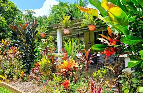Cape Tribulation House | Alena Star House, Eco Retreat With Pool, Prime Position