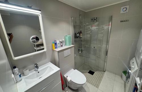 Alesund Apartment | Alesund bedroom with shared shower