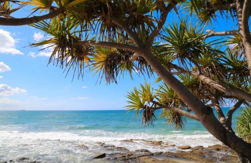 Alexandra Headland Apartment | Alex Heads Beachfront Resort 2 bedroom apartment