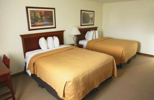 Spenard Hotel | Alex Hotel and Suites