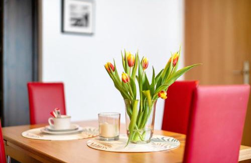 Schonach im Schwarzwald Apartment | Alexander Feiss