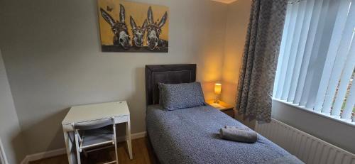 Belfast House | Alexandra Park Town House 223