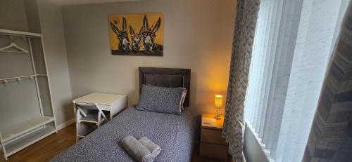 Belfast House | Alexandra Park Town House 223