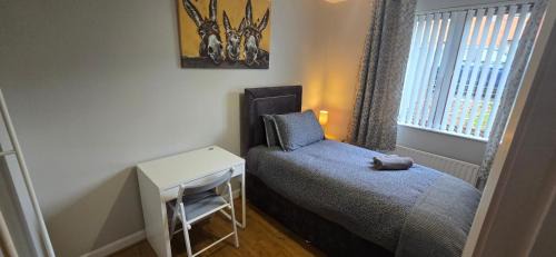 Belfast House | Alexandra Park Town House 223
