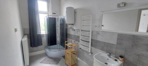 Sosnowiec Apartment | Ali