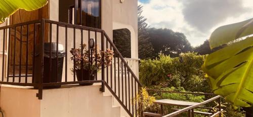 Glacis Apartment | Alilo Apartment