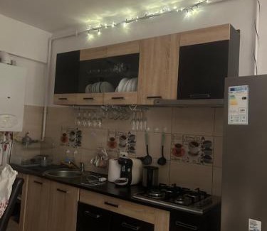 Zarnesti Apartment | Alinaalis