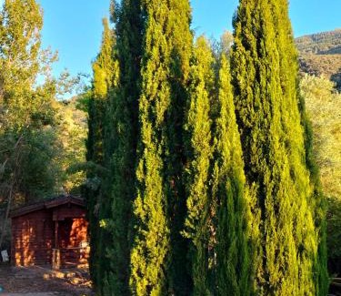 Guejar Sierra Apartment | Alixares de Güéjar Sierra