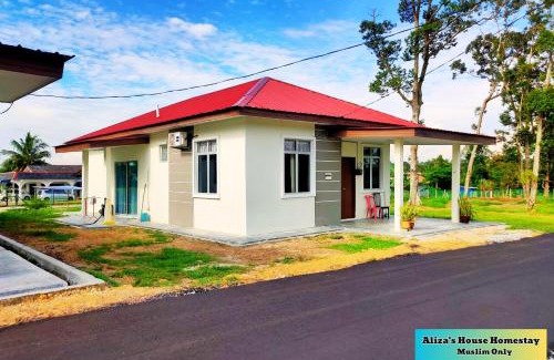 Taman Dato Haji Abdul Samad House | Aliza's House Homestay PD Mini Bungalow