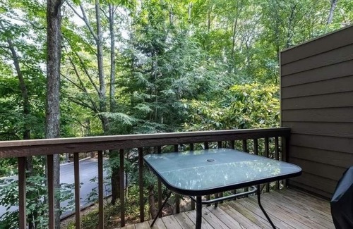 Wintergreen Apartment | All Downhill From Here