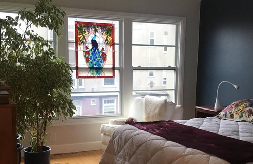 Pacific Heights Condo | All New Deco 2nd Floor Flat In Best Sf Neighborhood; Garage Oct/Nov/Dec
