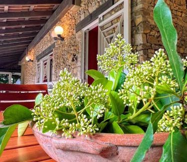 Taranto Bed & Breakfast | All'Ombra del Palmeto