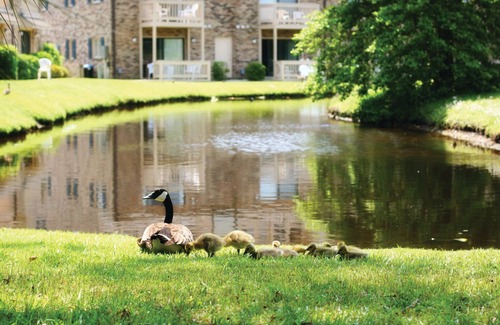 Socastee Resort | All the comforts of home!