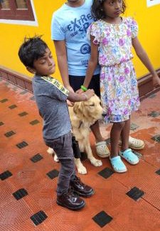 Elappara House | Allora homestay