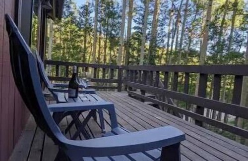 Alma House | Alma Family Getaway! 13 Miles to Breck! Starlink!