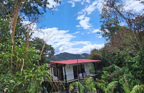 Vergara House | Alma luna