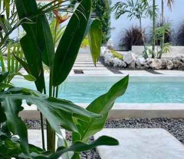 Sampalan Hotel | Alma Nusa Penida