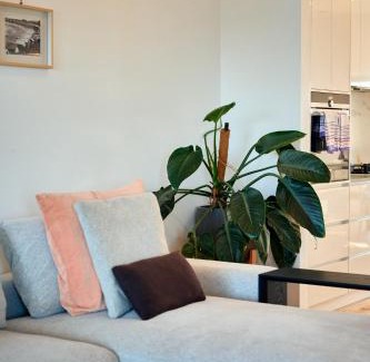 Torquay House | ALMA - sun filled stylish beach house