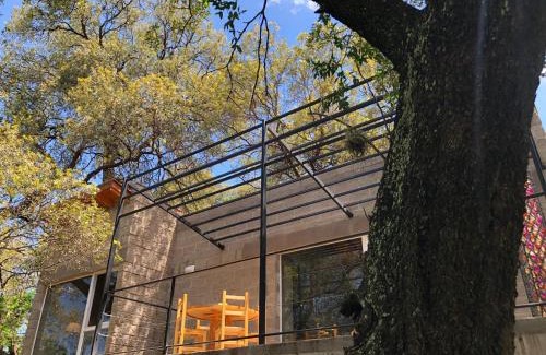 El Rincon Ski Chalet | Alma Tierra