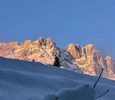 Going am Wilden Kaiser Apartment | Almchalet Weberhof