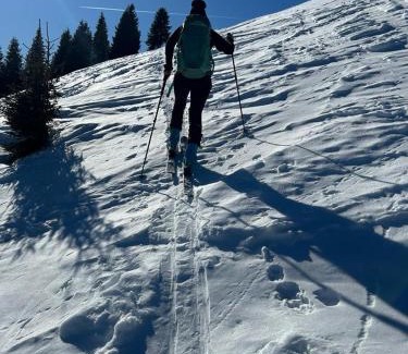 Going am Wilden Kaiser Apartment | Almchalet Weberhof