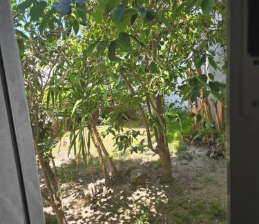 Restinga Smir Apartment | Almina plage 1