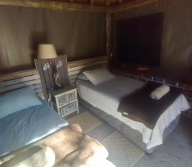 Marble Hall Other | Aloe Bush Game Lodge