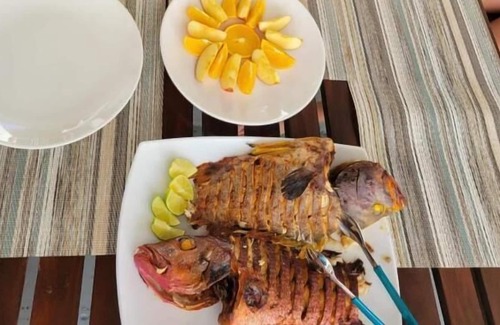 Himmafushi House | Aloha Beach Inn
