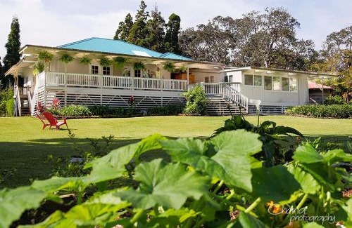 Volcano House | Aloha Junction Bed and Breakfast -Minutes away from Hawaii Volcanoes National Park