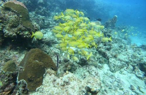 San Andres House | Alojamiento blue castle