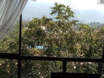 Armenia House | Alojamiento Eje Cafetero