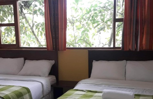 Mindo House | Alojamiento Para los Amantes de la Natualeza