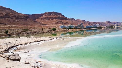 Neve Zohar Apartment | Aloni - Guest house Dead Sea