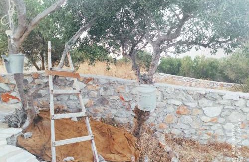 Omales House | Aloni Wood & Stone