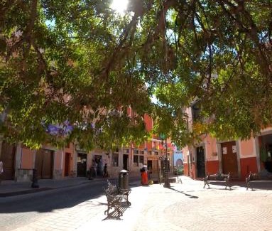 Zona Centro House | Alonso53