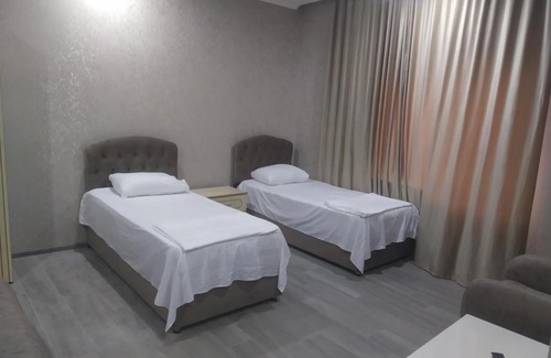 Zestafoni Hotel | Alpede