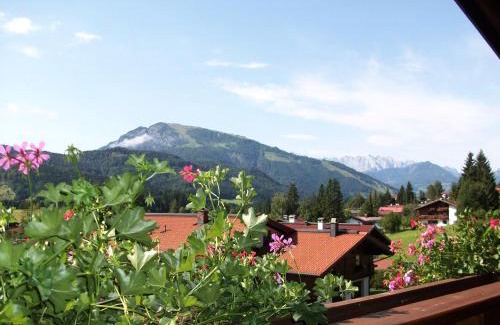 Reit im Winkl Apartment | Alpenblick