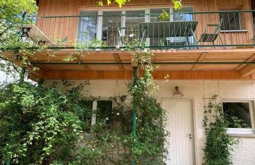 Schopfheim Apartment | Alpenblick-Steineckhof