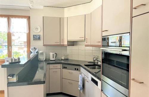 Wilderswil Apartment | Alpenglück Apartment - Aare Jungfrau AG