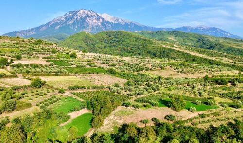 Berat House | Alpeta Agrotourism & Winery - Roshnik , Berat