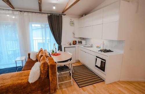 Kaunas Apartment | Alpetri Apartments