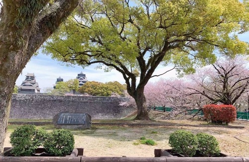 Chuo Ward Apartment | Alpie A102 free parking5 min walk to Kumamoto C/Kumamoto Kumamoto