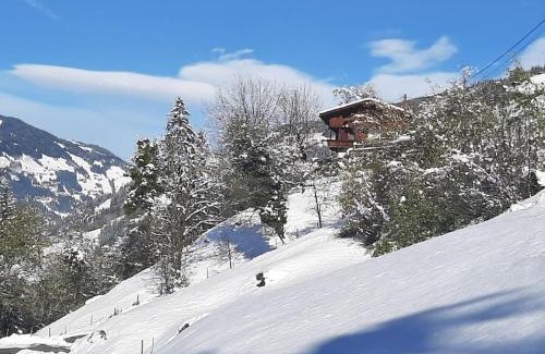 Eckartau Apartment | Alpine cottage with exceptional view