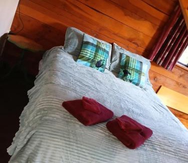 Hanmer Springs Other | Alpine Holiday Apartments and Campground
