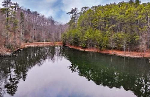 Townsend House | Alpine Joy-Hot Tub, Pond Access ,Cozy Cabin Retreat in the Smokies